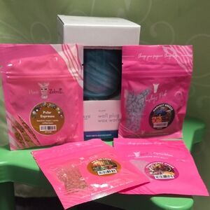 Plug In Wax Warmer w/Pink Zebra Sample Wax Melts